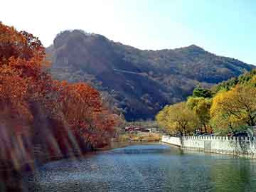 管家婆黑白马报图库，永宁街